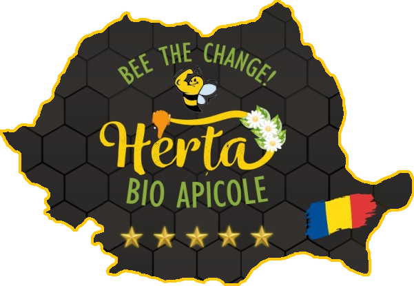Logo background transparent